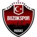 约兹加特