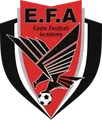 老鹰足球学院